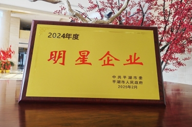 新春新景新气象 | 8868体育首页登录在平湖三干大会上喜摘荣誉！