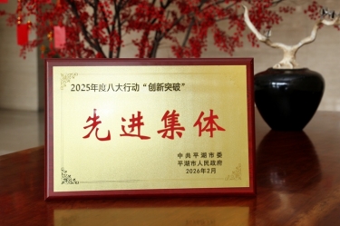 策马扬鞭启新程！8868体育首页登录在平湖市三级干部大会上荣获“创新突破”双项荣誉