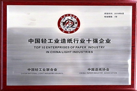 中国轻工业造纸行业十强企业